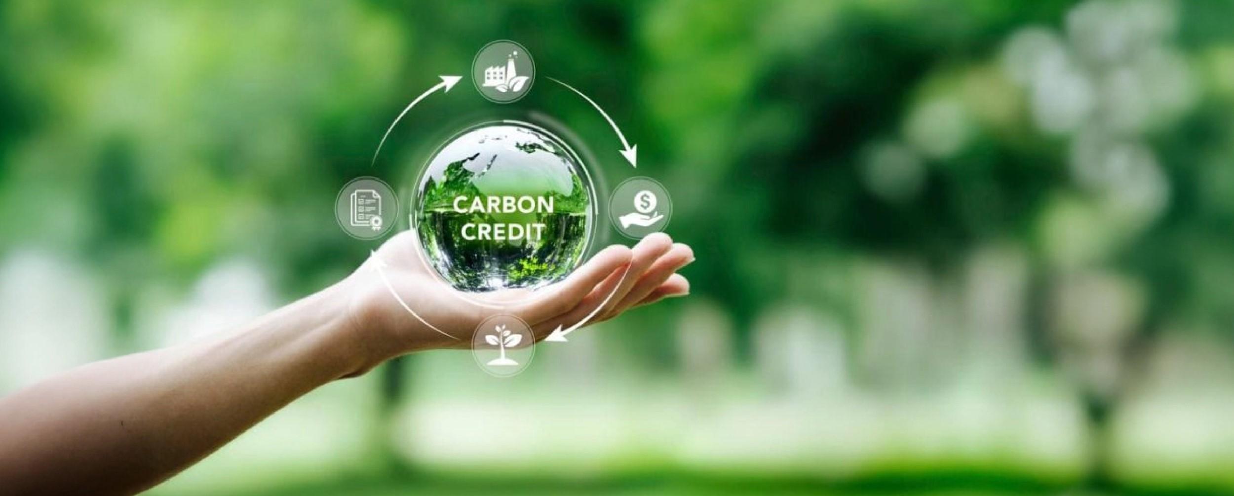 Carbon Credits